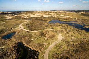 Duinlandschap Egmond aan Zee