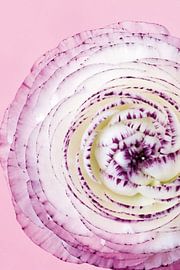 Picture of a pink flower. by Therese Brals