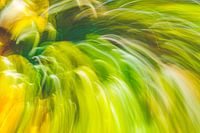 green grass