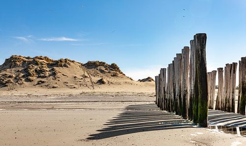 Strandpaaltjes Westenschouwen 3