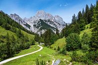 Blick auf die Bindalm im Berchtesgadener Land von Rico Ködder Miniaturansicht