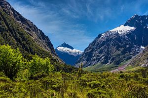 Tal im Fiordland Nationalpark , Neuseeland