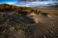 Duinen langs strand bij Breskens.