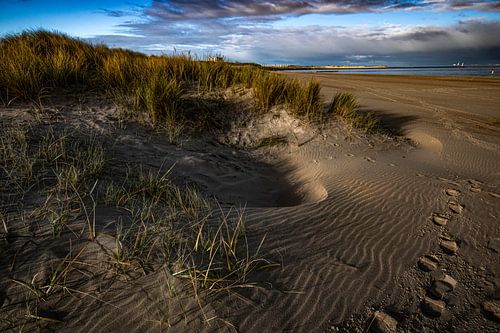 Dünen am Strand von Breskens.