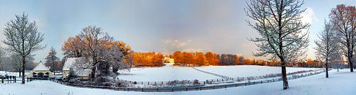 Winter in Arnhem van Roelof van der Schaaf