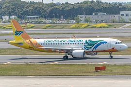 Bunte Passagierflugzeuge. Ein Airbus A320 der philippinischen Cebu Pacific . von Jaap van den Berg