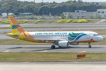 Kleurrijk passagiersvliegtuigen. Een Airbus A320 van het Filipijnse Cebu Pacific . van Jaap van den Berg