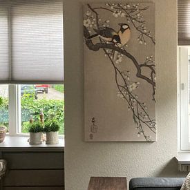 Customer photo: Great Tits on blossom branch of Ohara Koson, on canvas
