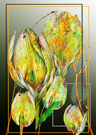Tulpen-Kunstwerk 1 von eddy Teysse