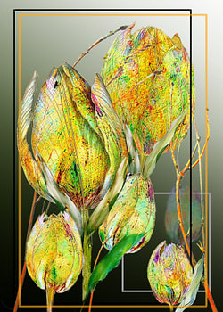 Tulpen-Kunstwerk 1