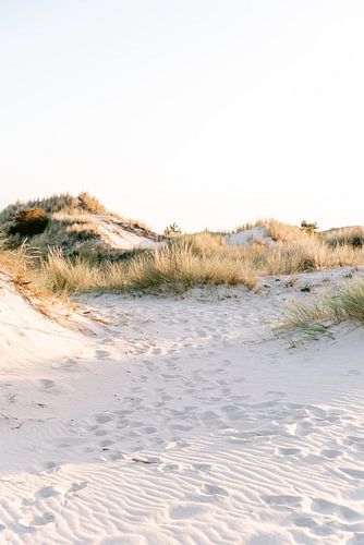 Dünen von Castricum mit Sonnenuntergang - Kunstfotografie