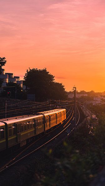 Dublin by Hello Pompoyo