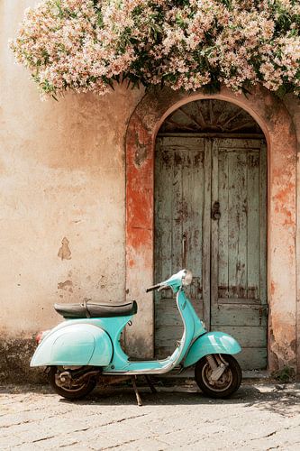 Une Vespa silencieuse sous les fleurs