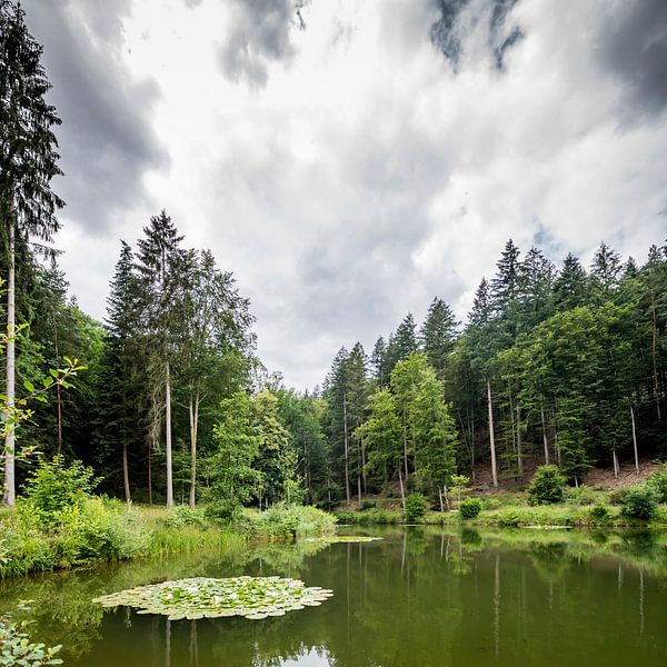 Un lac de montagne avec des sapins et des montagnes boisées devant un ciel nuageux avec par Hans-Jürgen Janda