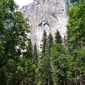 El Capitan by Wessel Smit