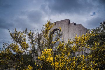 Hiding behind you by Tina Linssen