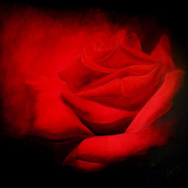 Roses rouges par Christoph Van Daele