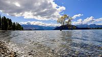 Wanaka Tree: Iconic Tree Against Blue Skies and Mountains by Be More Outdoor thumbnail