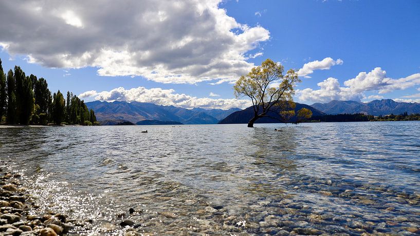Wanaka Tree: Iconic Tree Against Blue Skies and Mountains by Be More Outdoor