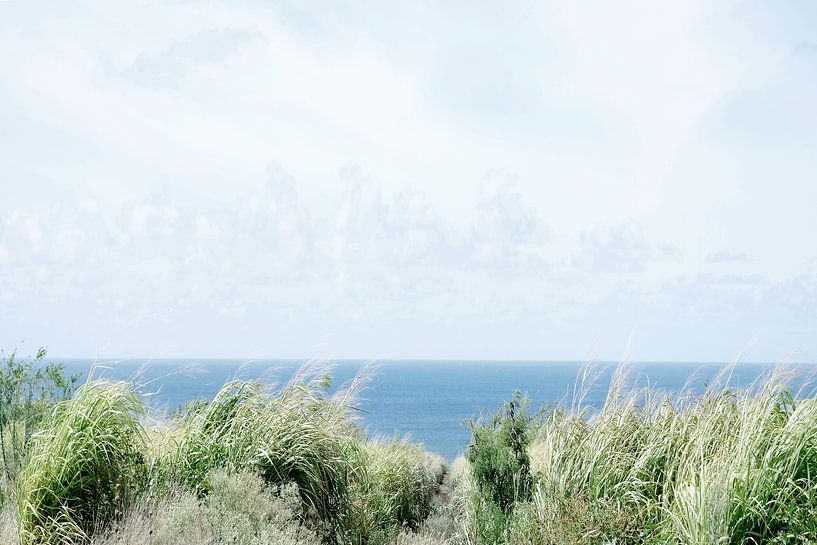 Paradies von Gemma Bardot