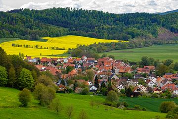 Lauchröden von Roland Brack