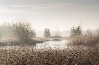 Arbeiten in der Landschaft 12
