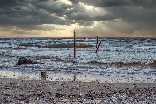 De onvermijdelijkheid