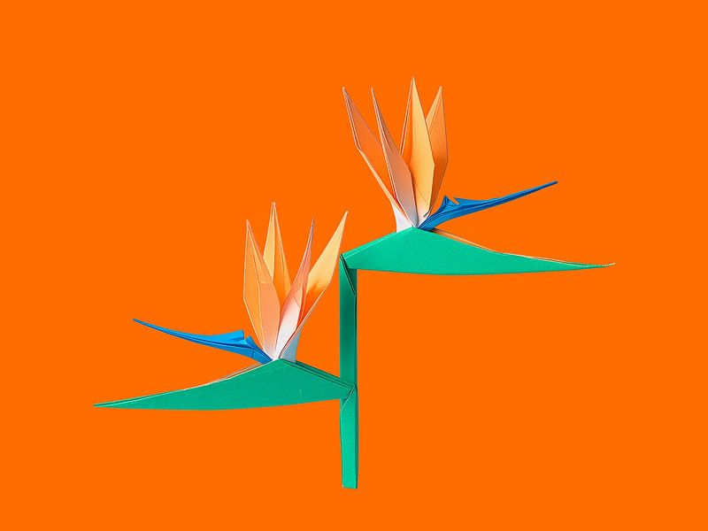 Origami - Minimalist and colourful bird of paradise flower by STUDIO MINIMAL ART