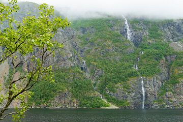 Vue de la réserve naturelle de Grytbogen-Kubasen à Trondelag, en Norvège. sur Jan Fritz
