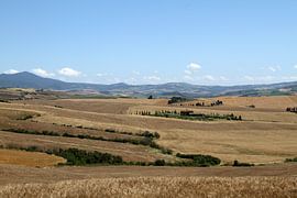Tuscan landscape by Sander Miedema