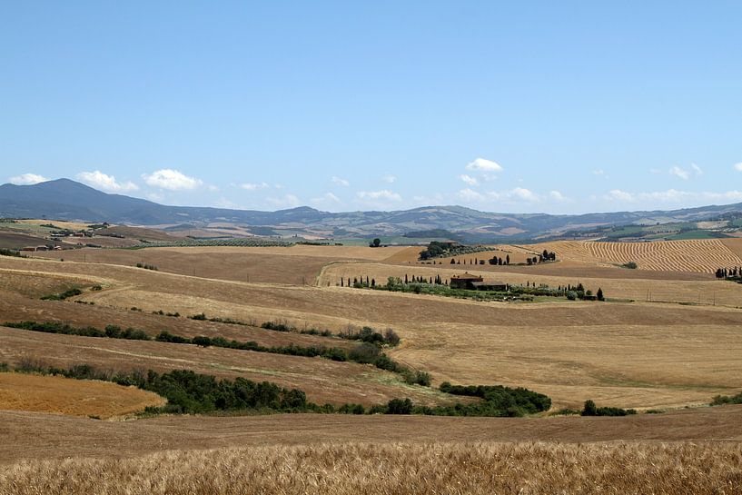 Toscaans landschap van Sander Miedema