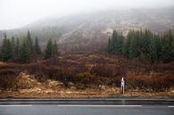 Isländischer Wald von W Machiels Miniaturansicht
