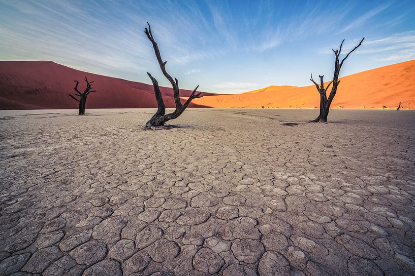 Verstoken van levengevend water van Loris Photography