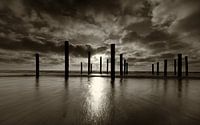 Palendorp Petten - 3