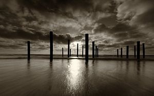 Palendorp Petten - 3