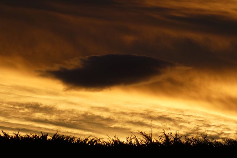 New Zealand, Cloud party by Anita Tromp