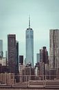Das One World Trade Center in der New Yorker Skyline von Mick van Hesteren Miniaturansicht
