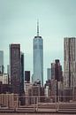 One World Trade Center in the New York skyline by Mick van Hesteren thumbnail
