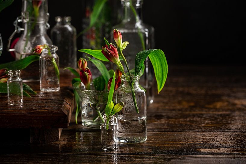 Flowers in Glass Vases by Iryna Melnyk