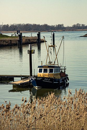 Bateau de pêche à Gorinchem