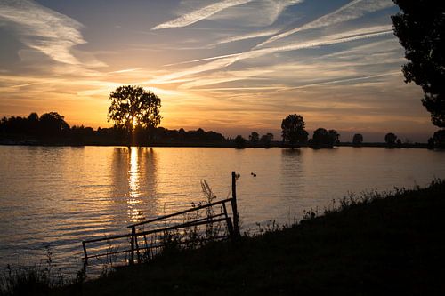 Het land van Maas en Waal