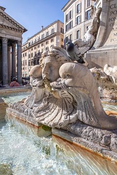 Rome - Fontana del Pantheon by t.ART