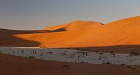 Deadvlei - Namibië van Eddy Kuipers thumbnail