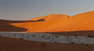 Deadvlei - Namibië van Eddy Kuipers