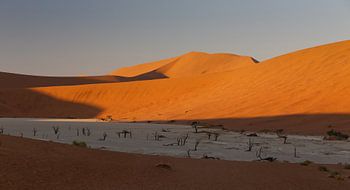 Deadvlei - Namibië