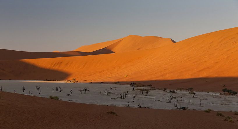 Deadvlei - Namibië van Eddy Kuipers