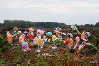 Zucker erntende Fubby's auf dem Land.