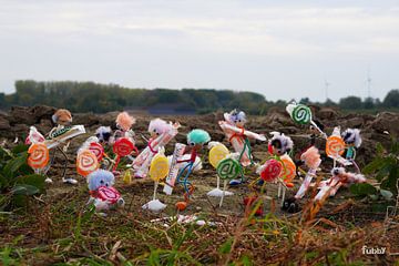 Zucker erntende Fubby's auf dem Land. von Sailographic Paula