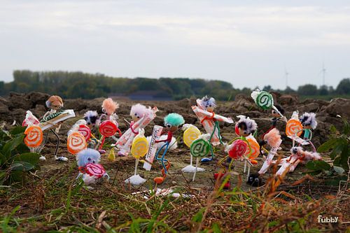 Sugar-harvesting Fubby's in the country.