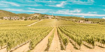 tuscan winery